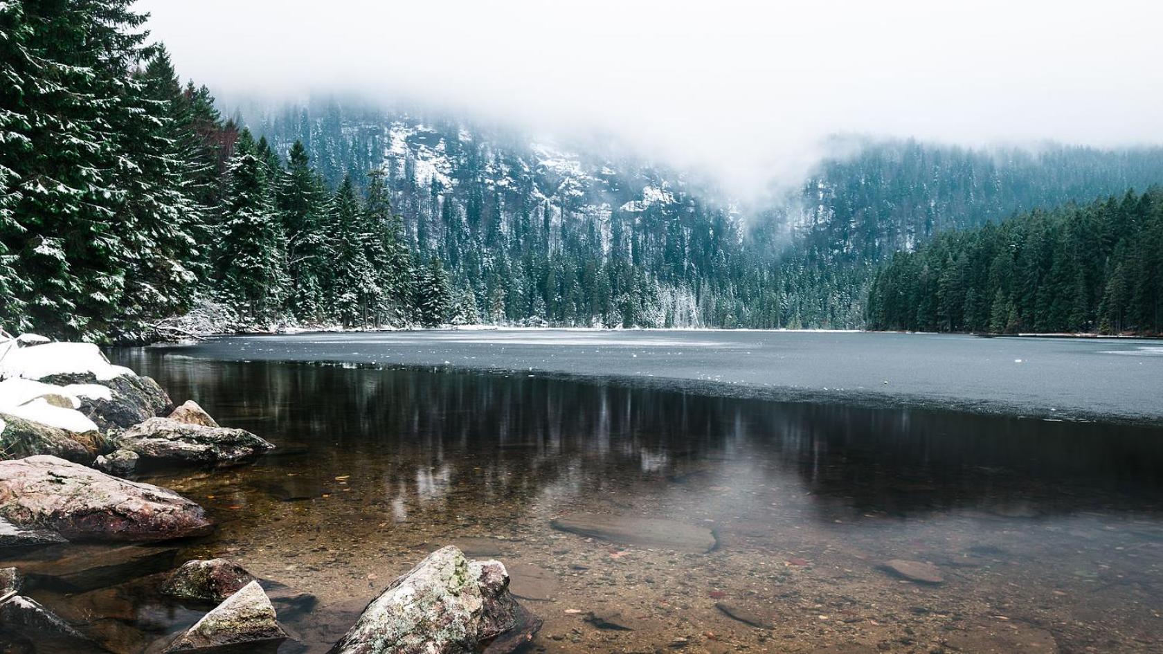 Arber Resort & Wellness Sumava Železná Ruda Dış mekan fotoğraf